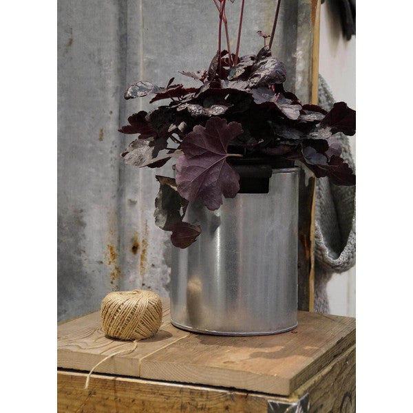 Quadro Låg L36xB36xH2 cm