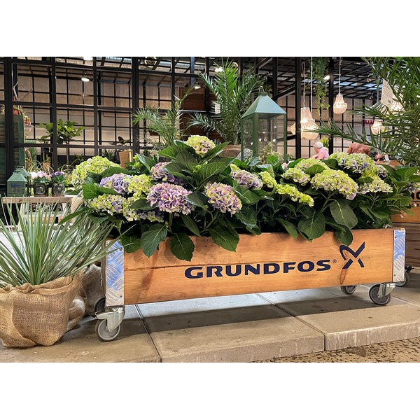 Aflang Kasse 1 Lag L102xB25xH29,5 cm