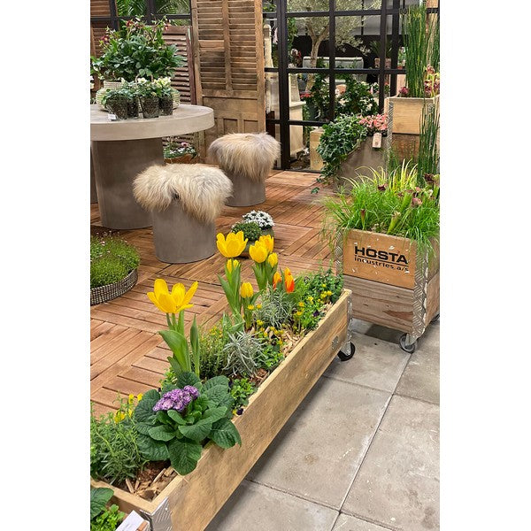 Aflang Kasse 1 Lag L102xB25xH29,5 cm