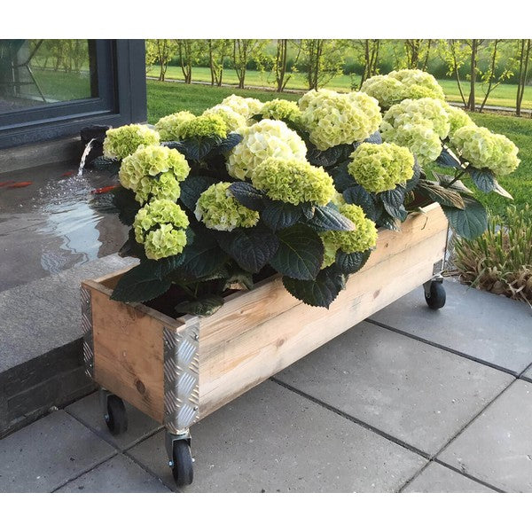 Aflang Kasse 1 Lag L102xB25xH29,5 cm