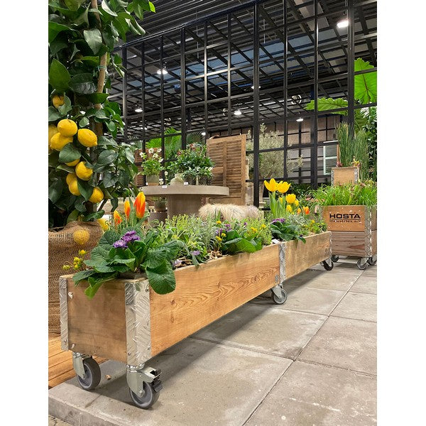 Aflang Kasse 1 Lag L102xB25xH29,5 cm