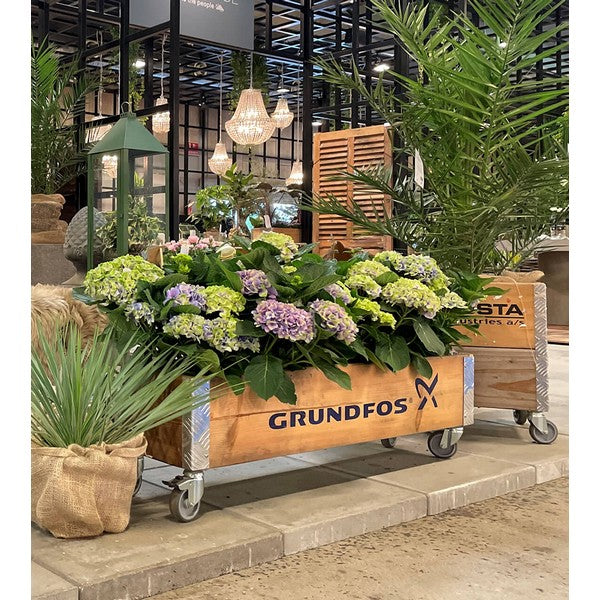 Aflang Kasse 1 Lag L102xB25xH29,5 cm