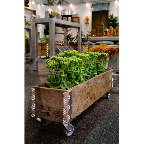 Aflang Kasse 1 Lag L102xB25xH29,5 cm