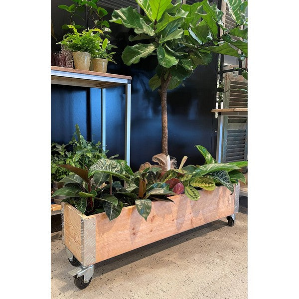 Aflang Kasse 1 Lag L102xB25xH29,5 cm