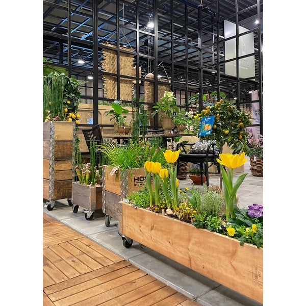 Aflang Kasse 1 Lag L102xB25xH29,5 cm