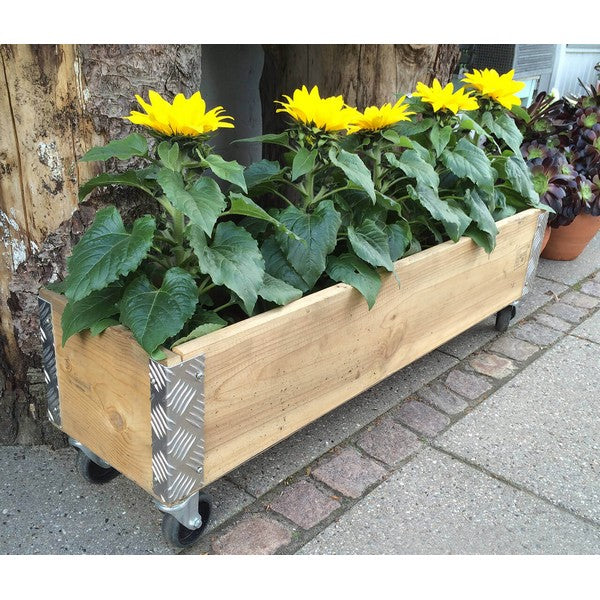 Aflang Kasse 1 Lag L102xB25xH29,5 cm