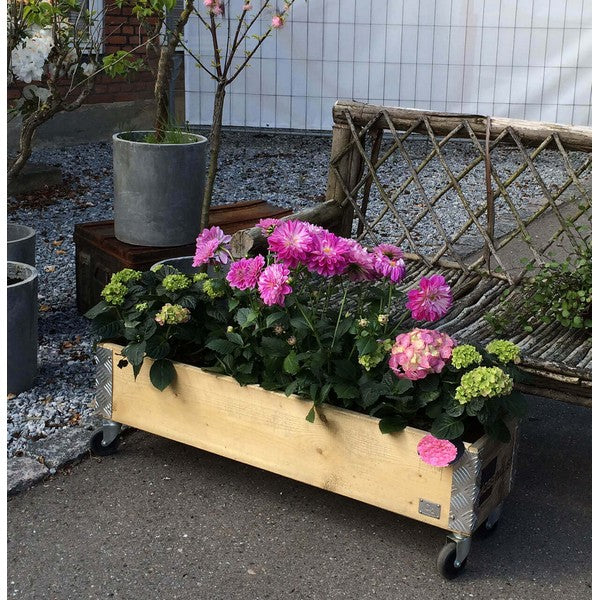 Aflang Kasse 1 Lag L102xB25xH29,5 cm