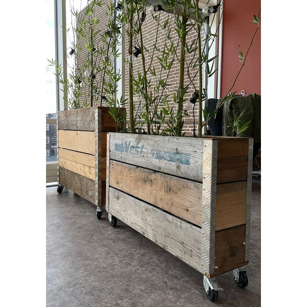 Aflang Kasse 3 Lag L102xB25xH67,5 cm