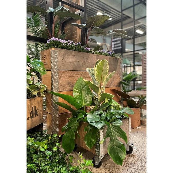 Aflang Kasse 4 Lag L102xB25xH86,5 cm