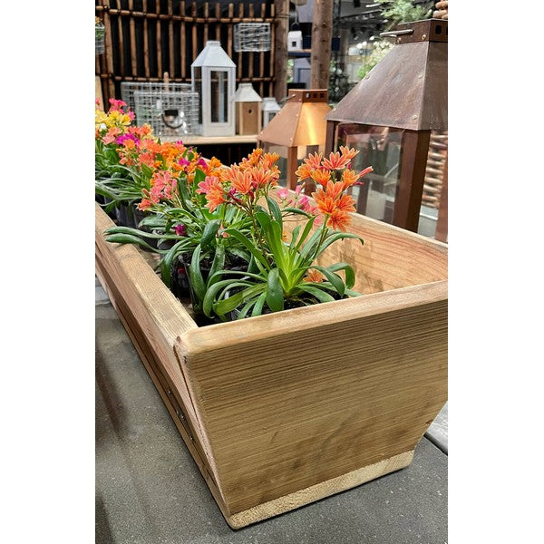 Plante Trug (100 cm) L100xB30/19xH20 (konisk) cm