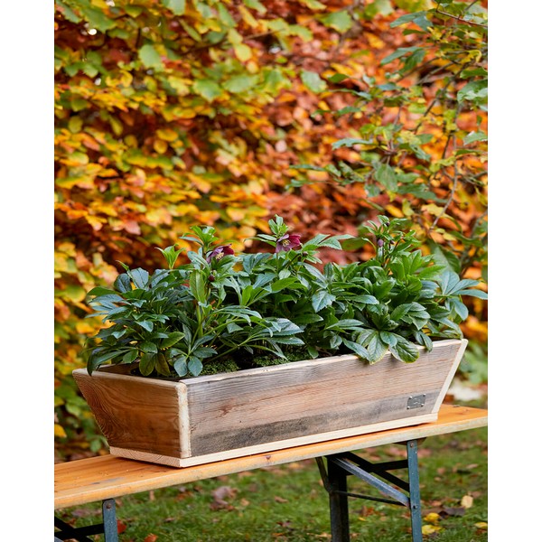 Plante Trug (100 cm) L100xB30/19xH20 (konisk) cm