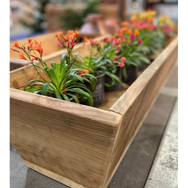 Plante Trug (100 cm) L100xB30/19xH20 (konisk) cm