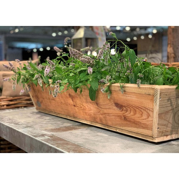 Plante Trug (100 cm) L100xB30/19xH20 (konisk) cm