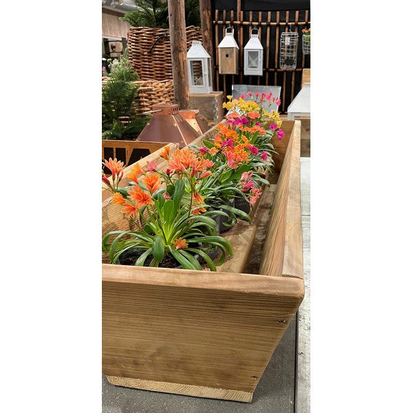 Plante Trug (100 cm) L100xB30/19xH20 (konisk) cm