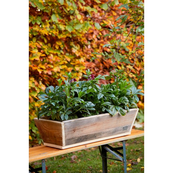 Plante Trug (75 cm) L75xB30/19xH20 (konisk) cm