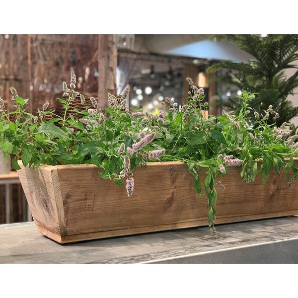 Plante Trug (75 cm) L75xB30/19xH20 (konisk) cm