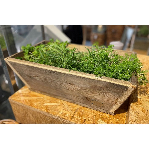 Plante Trug (50 cm) L50xB30/19xH20 (konisk) cm