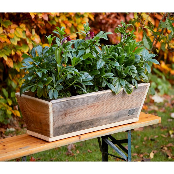 Plante Trug (50 cm) L50xB30/19xH20 (konisk) cm