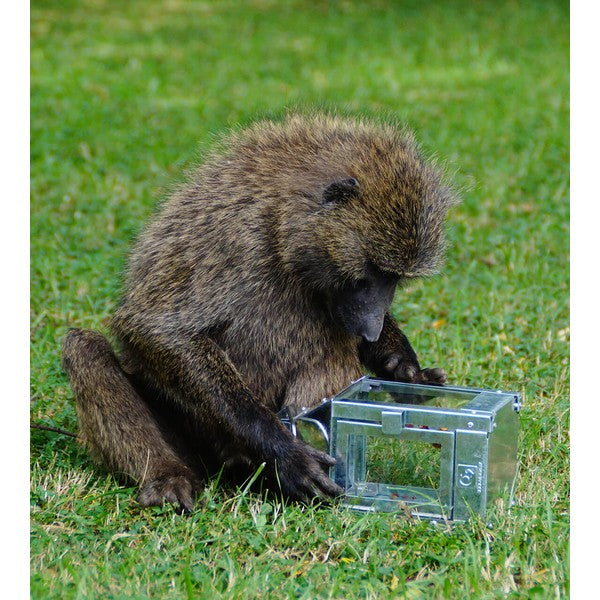 Galvaniseret Micro Lanterne L12,5xB12,5xH25 cm