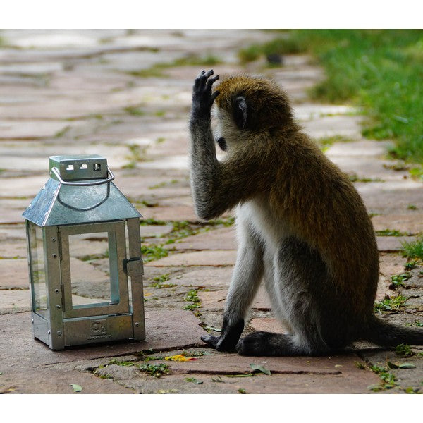 Galvaniseret Micro Lanterne L12,5xB12,5xH25 cm