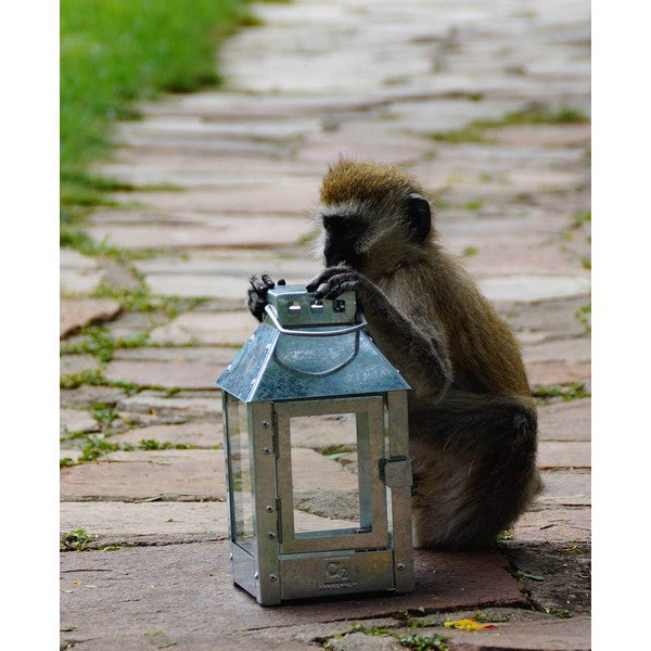 Galvaniseret Micro Lanterne L12,5xB12,5xH25 cm