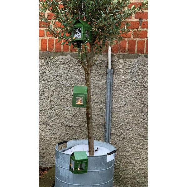 3 olivengrønne Hængelanterner på kæde L8xB8xH12 cm