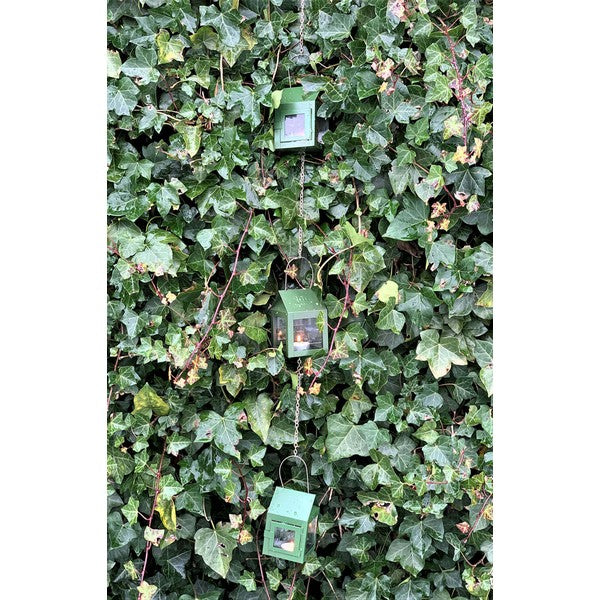 3 olivengrønne Hængelanterner på kæde L8xB8xH12 cm