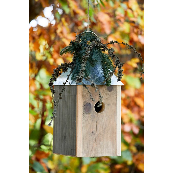 Galvaniseret Mini Birdy Sleep Fuglehus (genb træ) L17xB17xH33,5 cm