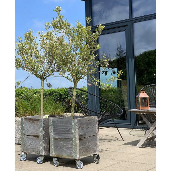 Kobber Micro Lanterne L12,5xB12,5xH25 cm