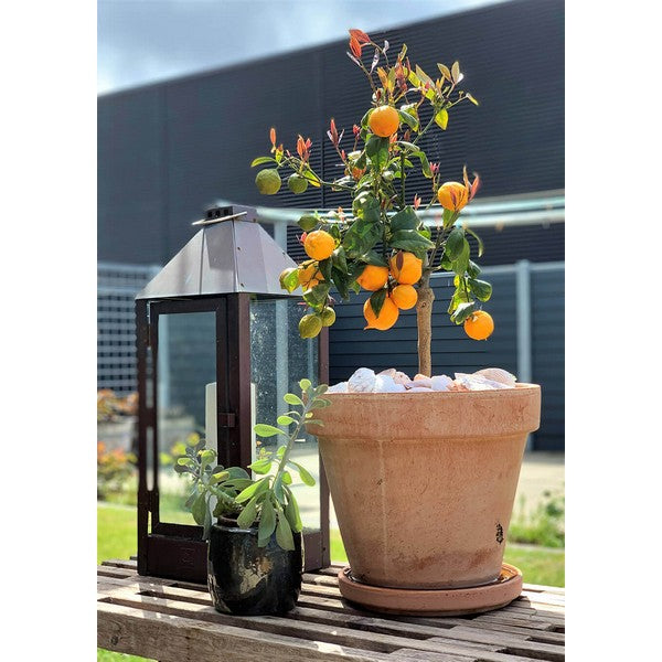 Kobber Maxi Lanterne L22,5xB22,5xH60 cm