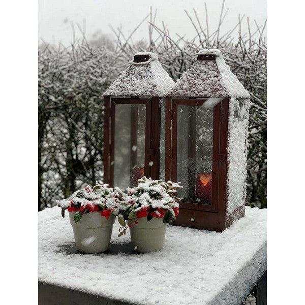 Kobber Maxi Lanterne L22,5xB22,5xH60 cm