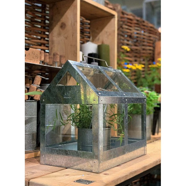 Mini Væksthus L38xB24xH36,5 cm
