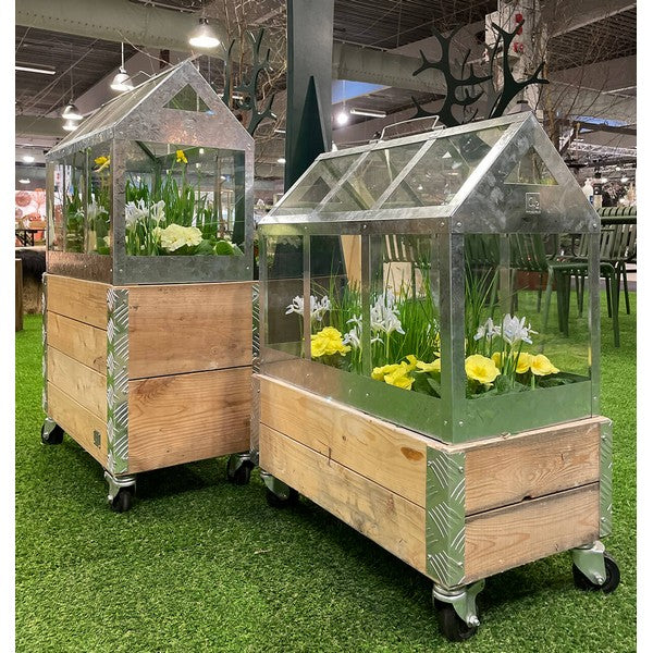 Maxi Væksthus L62,2xB32,2xH50 cm