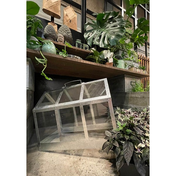 Maxi Væksthus L62,2xB32,2xH50 cm