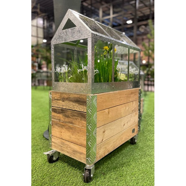 Maxi Væksthus L62,2xB32,2xH50 cm