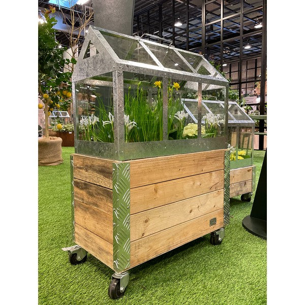 Maxi Væksthus L62,2xB32,2xH50 cm