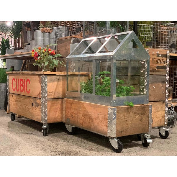 Maxi Væksthus L62,2xB32,2xH50 cm