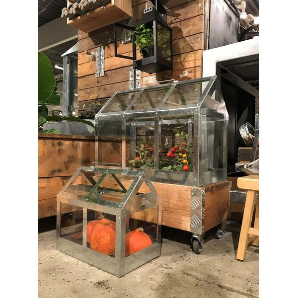 Maxi Væksthus L62,2xB32,2xH50 cm