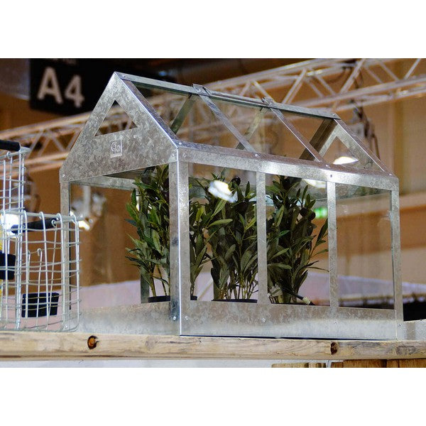 Maxi Væksthus L62,2xB32,2xH50 cm