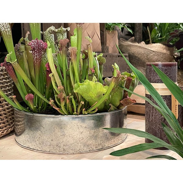 Galvaniseret Rund Plantebakke (sæt m/2 stk/2 str) Ø25-35xH9-10 cm