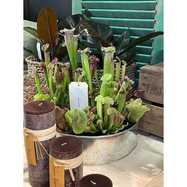 Galvaniseret Rund Plantebakke (sæt m/2 stk/2 str) Ø25-35xH9-10 cm