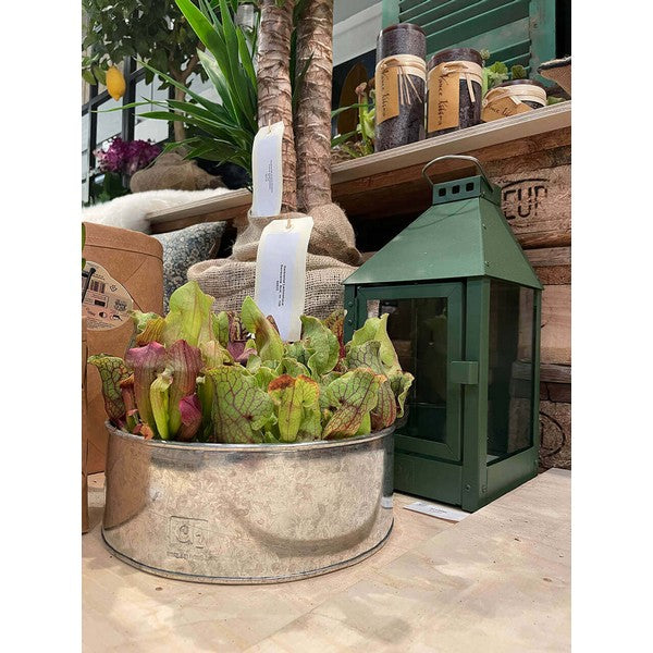 Galvaniseret Rund Plantebakke (sæt m/2 stk/2 str) Ø25-35xH9-10 cm