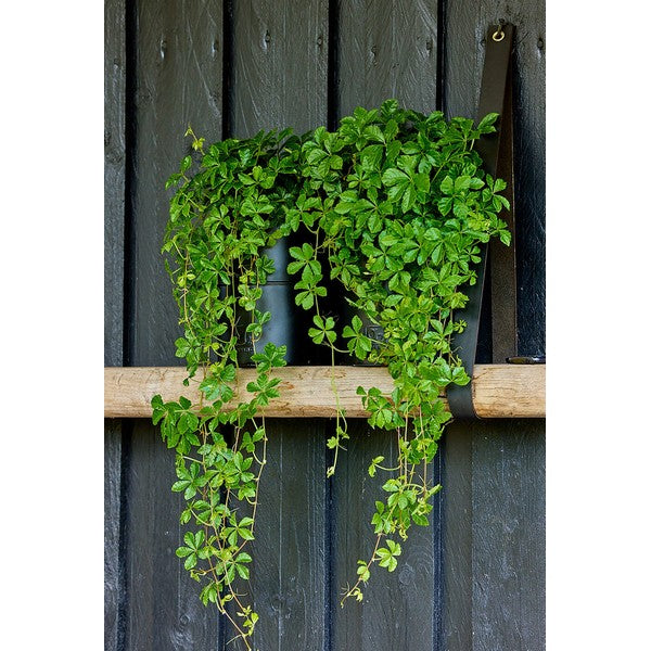 Sort Vase (sæt m/2 stk/2 str) Ø12-14xH20 cm