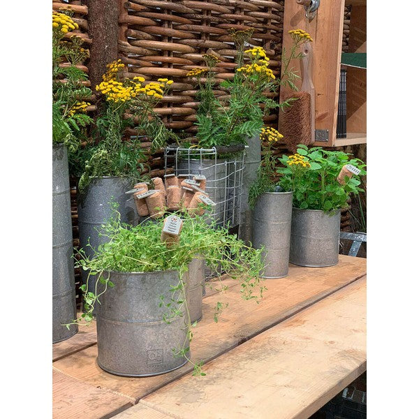 Galv Urtepotte (sæt m/3 stk/3 str) Ø8-12xH8-12 cm