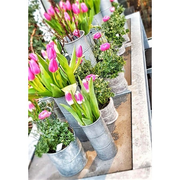 Galv Urtepotte (sæt m/3 stk/3 str) Ø8-12xH8-12 cm