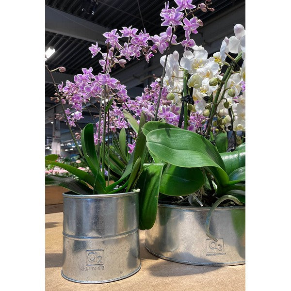 Galv Urtepotte (sæt m/3 stk/3 str) Ø8-12xH8-12 cm