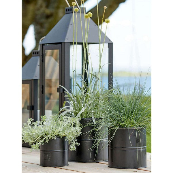 Sort Urtepotte (sæt m/3 stk/3 str) Ø8-12xH8-12 cm