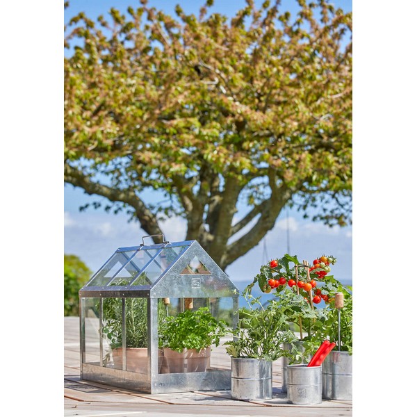 Galv Urtepotte (sæt m/6 stk/5 str) Ø8-16xH6-16 cm