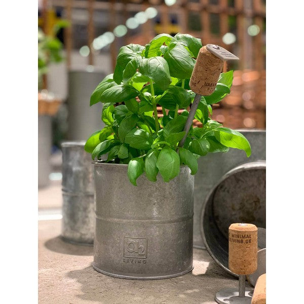 Galv Urtepotte (sæt m/6 stk/5 str) Ø8-16xH6-16 cm