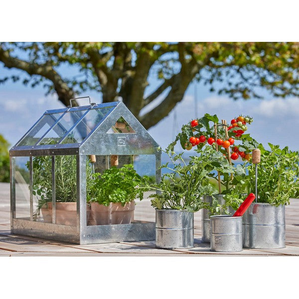 Galv Urtepotte (sæt m/6 stk/5 str) Ø8-16xH6-16 cm